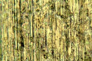 Detection and analysis of filmic contaminants