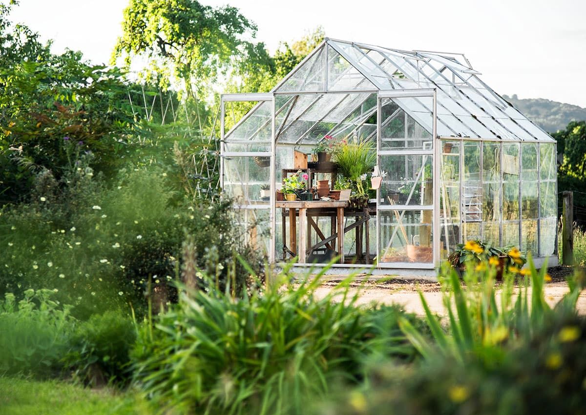 Workplace gardening in the office garden with workshops