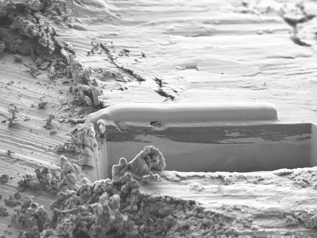 Das Rasterelektronenmikroskop ermöglicht den Blick in Materialproben