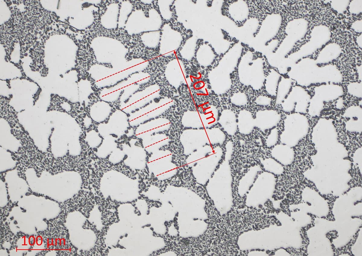 Dendriten oder Skelettkristalle in der Maerialographie