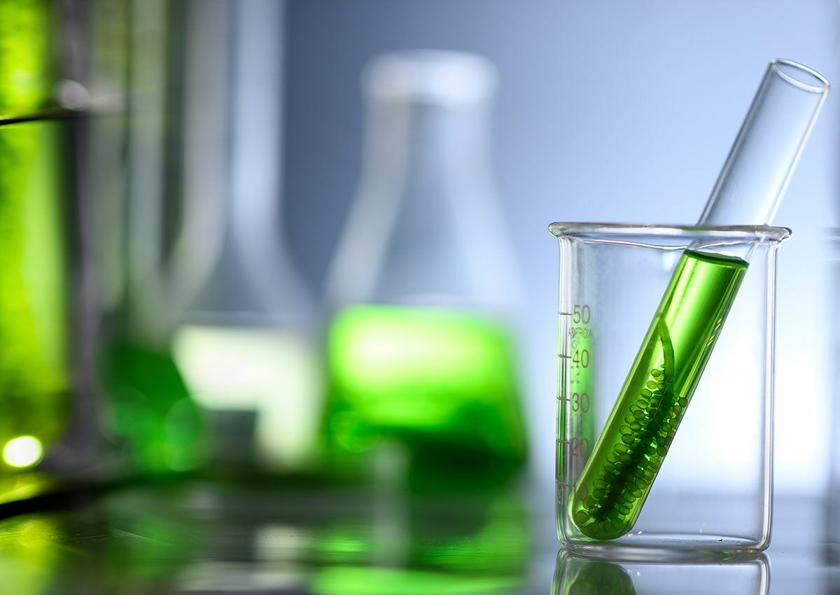 Natural sources of AOX through biological and geological processes