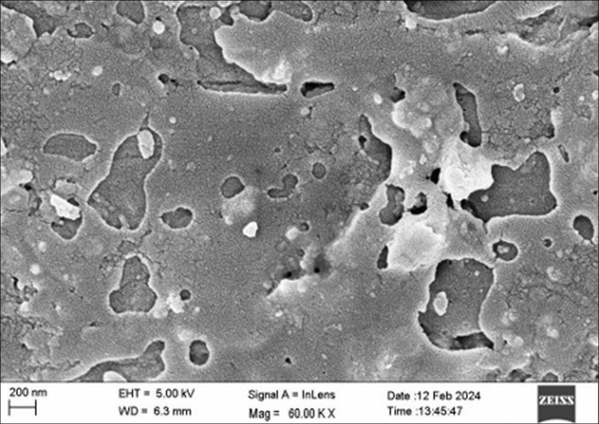 Defective surface of an anodized layer in the SEM