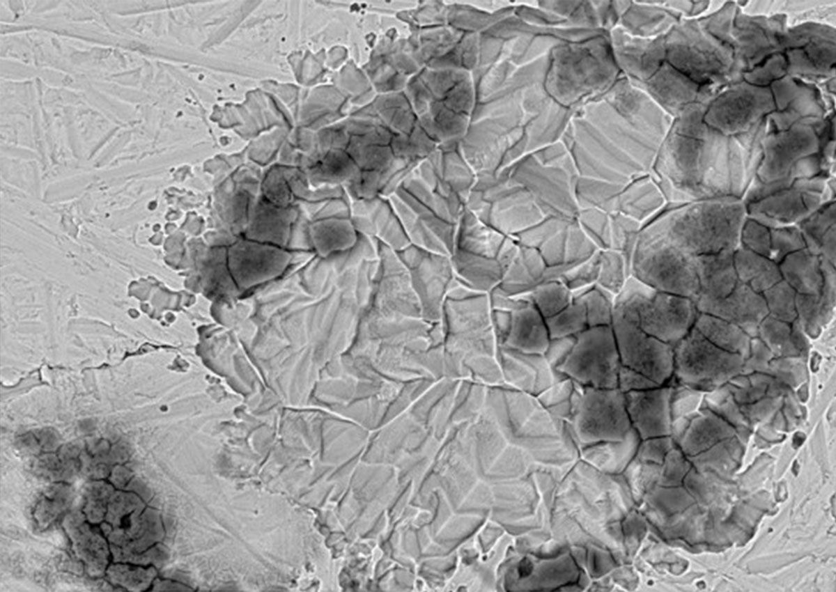 Examination of wear and corrosion phenomena